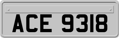 ACE9318