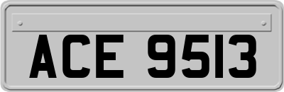 ACE9513