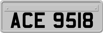 ACE9518