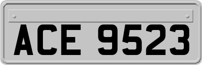 ACE9523