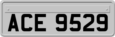ACE9529