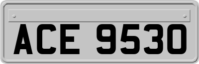 ACE9530