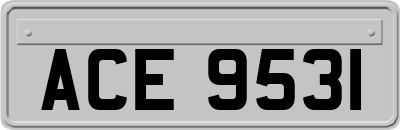 ACE9531