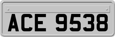 ACE9538