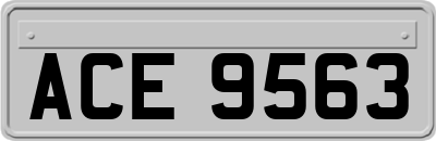 ACE9563