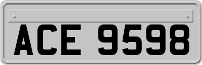 ACE9598