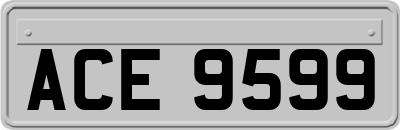 ACE9599