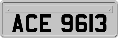 ACE9613