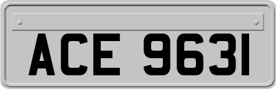 ACE9631