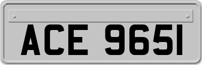 ACE9651
