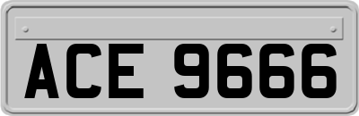 ACE9666