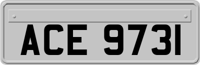 ACE9731