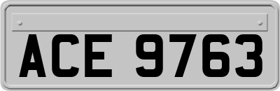 ACE9763