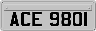 ACE9801