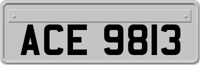 ACE9813