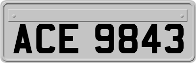 ACE9843