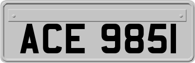 ACE9851