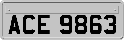 ACE9863