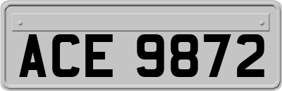 ACE9872
