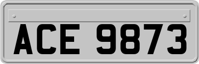 ACE9873