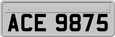 ACE9875