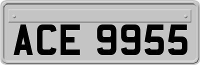 ACE9955