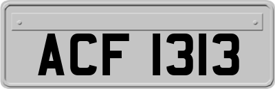 ACF1313