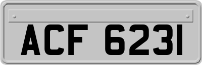 ACF6231
