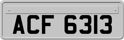 ACF6313