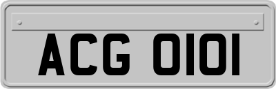 ACG0101