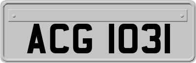ACG1031