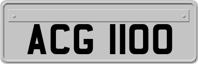 ACG1100
