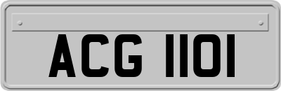 ACG1101