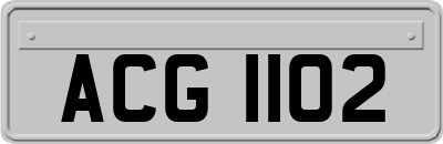 ACG1102