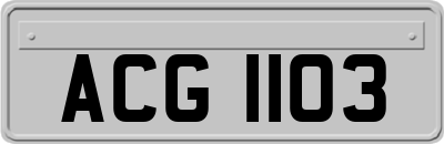 ACG1103