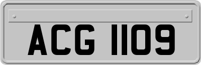 ACG1109