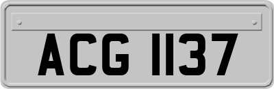 ACG1137