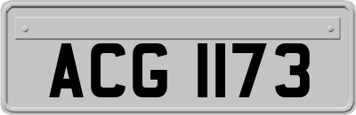 ACG1173
