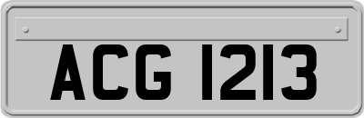 ACG1213