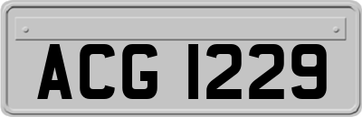 ACG1229