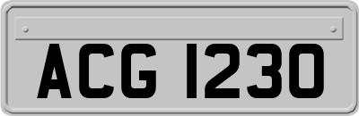 ACG1230