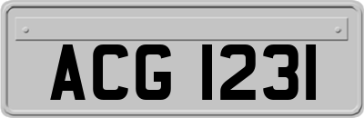 ACG1231