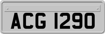ACG1290