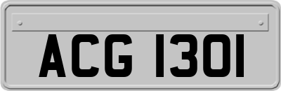 ACG1301