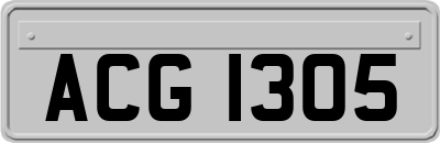 ACG1305