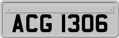 ACG1306