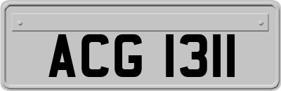 ACG1311