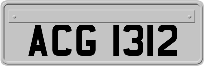 ACG1312