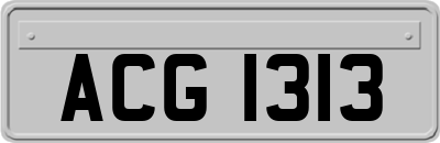 ACG1313