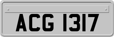 ACG1317